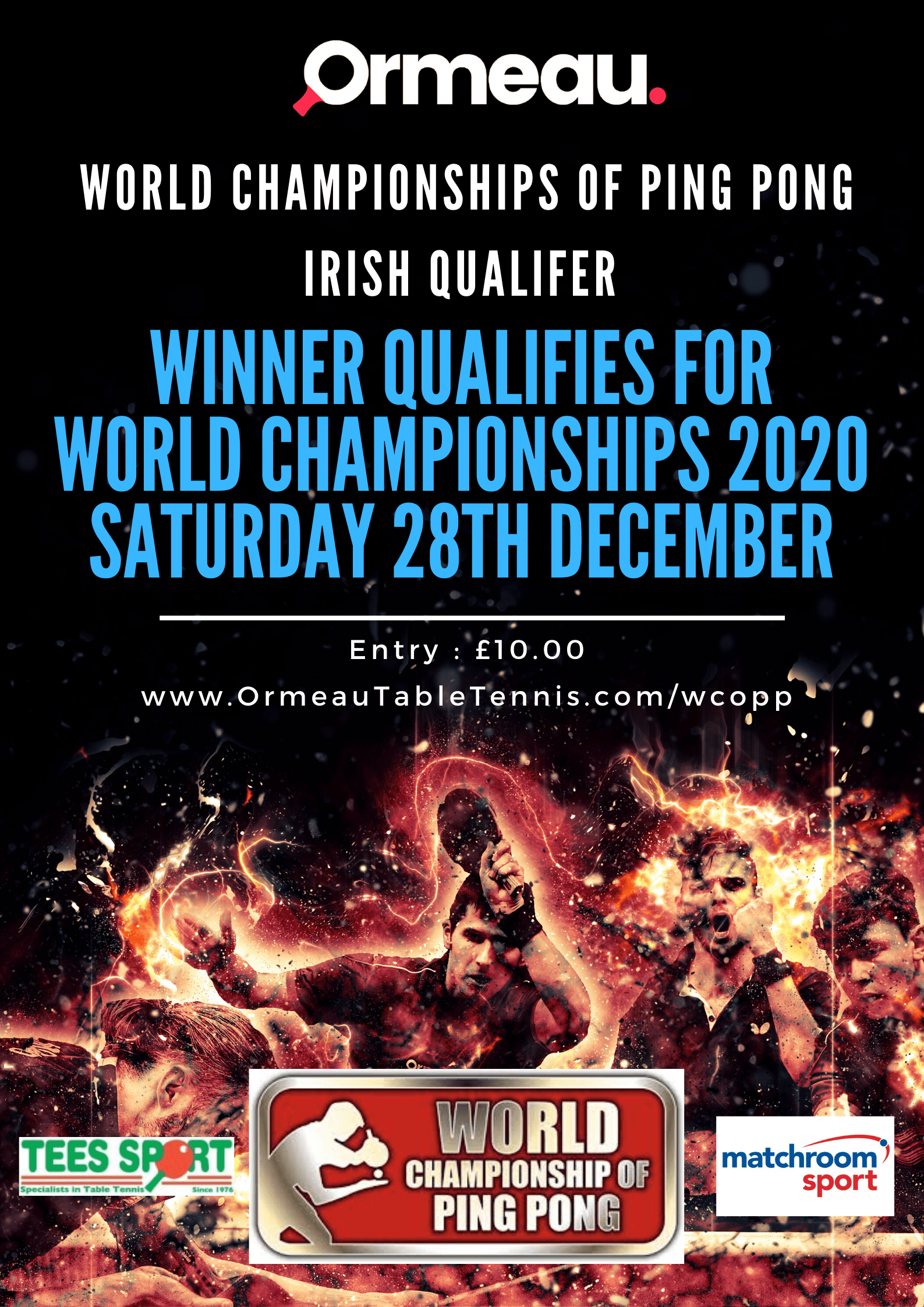 wcopp poster World Championships Of Ping Pong Ireland Qualifier Poster